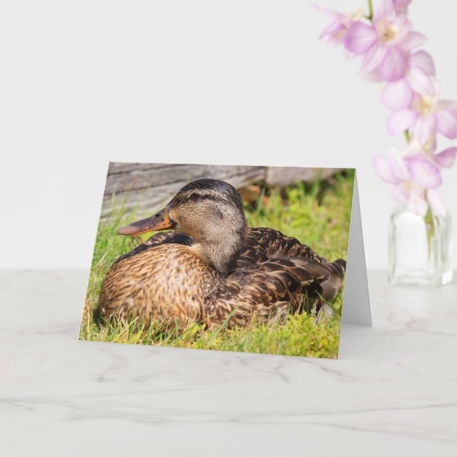 Mallard-Ente zur Krebsförderung Karte (Orchidee)