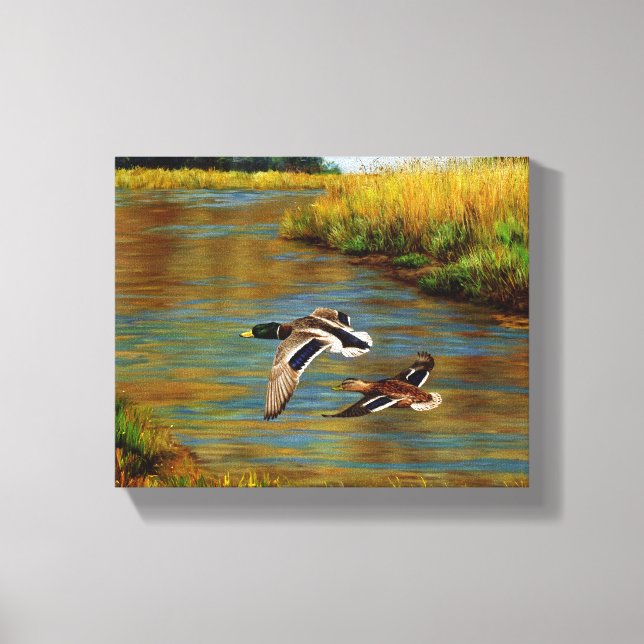 Mallard Enten fliegen über Teich Leinwanddruck (Vorderseite)