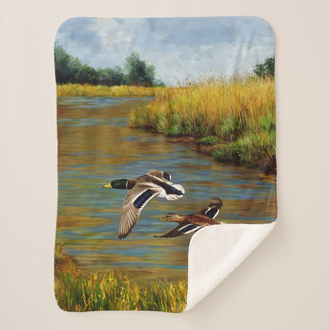 Mallard Enten fliegen über Teich Sherpadecke (Vorderseite)