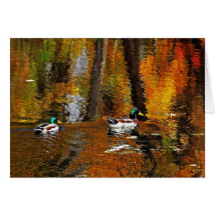 Mallard Enten in Herbstfarben