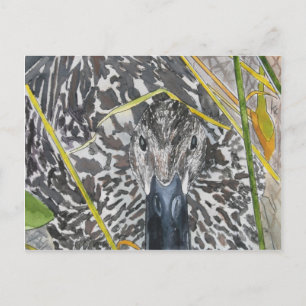 Mallard Female hen Duck Painting Wildlife art Postkarte