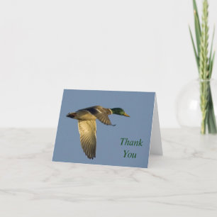 Mallard fliegen in offenem Himmel Vielen Dank, das Dankeskarte