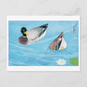 Mallard im Teich, Goyō Hashiguchi Postkarte