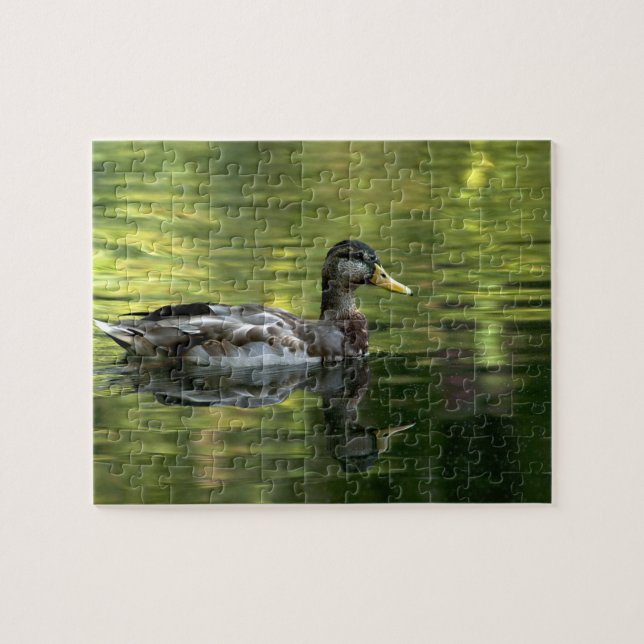 Mallard Mirrored auf grünem Wasser (Horizontal)