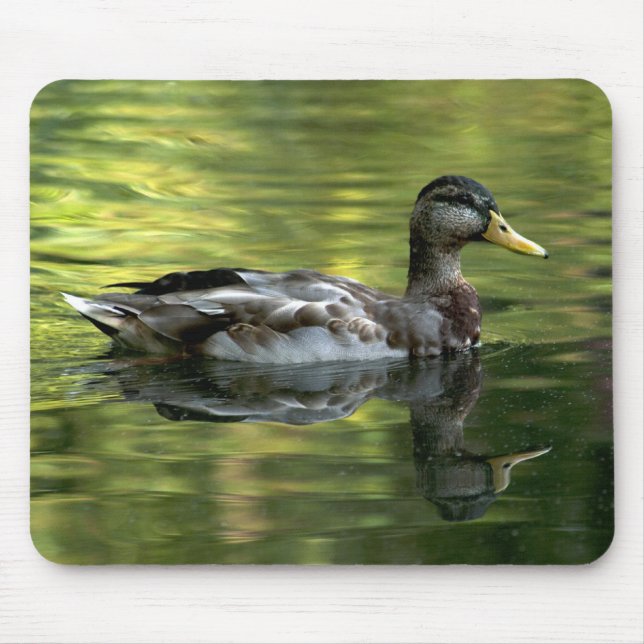 Mallard Mirrored auf grünem Wasser Mousepad (Vorne)