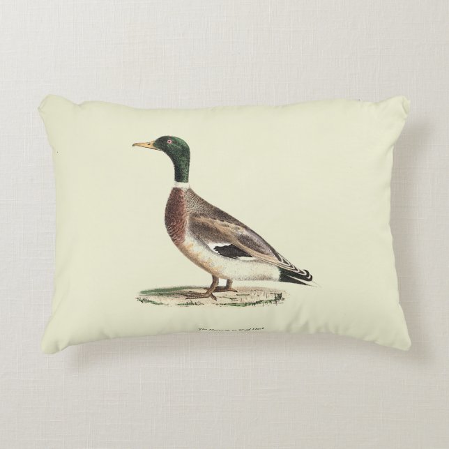 Mallard oder Wilde Ente (Anas platyrhynchos) Dekokissen (Vorderseite)