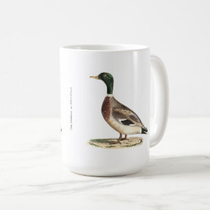 Mallard oder Wilde Ente (Anas platyrhynchos) Kaffeetasse