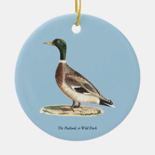 Mallard oder Wilde Ente (Anas platyrhynchos) Keramik Ornament