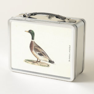 Mallard oder Wilde Ente (Anas platyrhynchos) Metall Brotdose