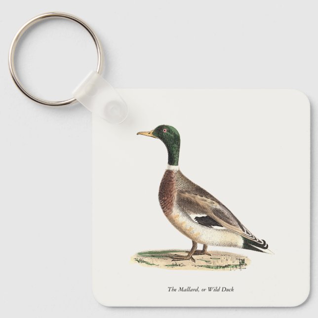 Mallard oder Wilde Ente (Anas platyrhynchos) Schlüsselanhänger (Vorderseite)