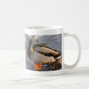 Mallard on Ice Coffee Tasse