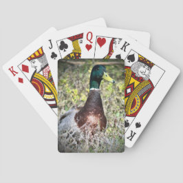 Mallard Spielkarten