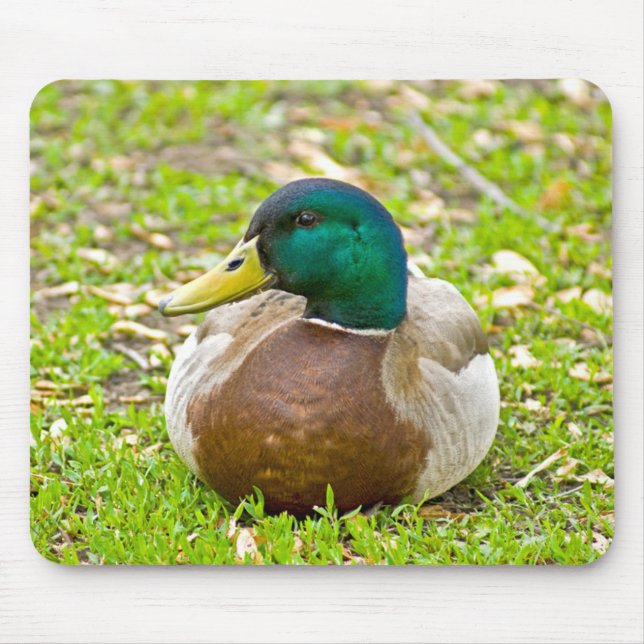 Mallard the Duck Mousepad (Vorne)