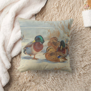 Mallard und aquamarin im Schnee, Vögel Kissen