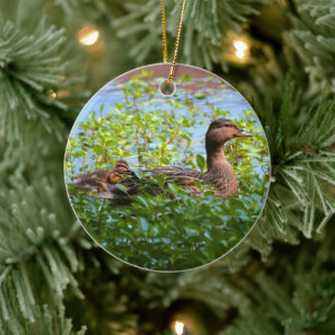 Mallard und Ducklings Swimming by Shirley Taylor Keramik Ornament