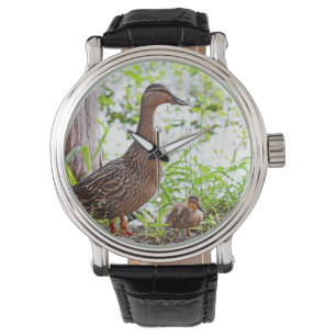 Mallard und Ducklings von Shirley Taylor Armbanduhr