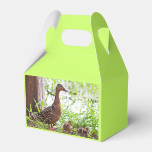Mallard und Ducklings von Shirley Taylor Geschenkschachtel