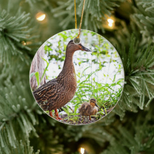 Mallard und Ducklings von Shirley Taylor Keramikornament