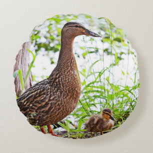 Mallard und Ducklings von Shirley Taylor Rundes Kissen