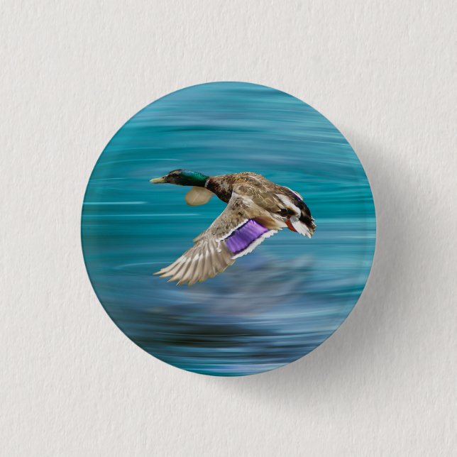 Mallardente Button (Vorderseite)