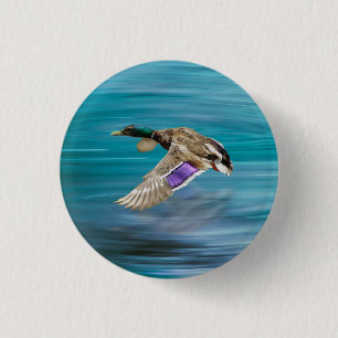 Mallardente Button