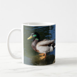 Mallardente Kaffeetasse