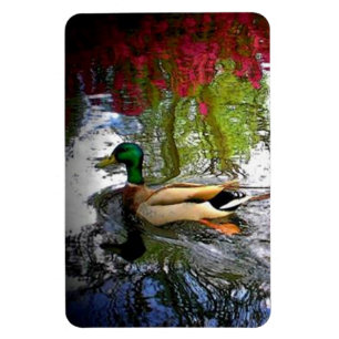 Mallardente Magnet