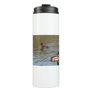 Mallardente und getuftete Ente auf einem Fluss Thermosbecher