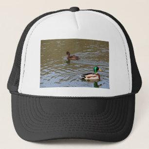 Mallardente und getuftete Ente auf einem Fluss Truckerkappe