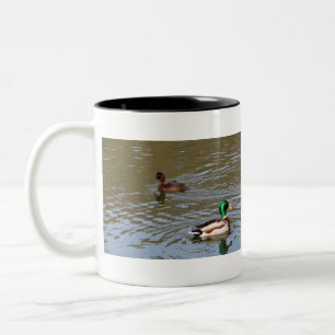 Mallardente und getuftete Ente auf einem Fluss Zweifarbige Tasse
