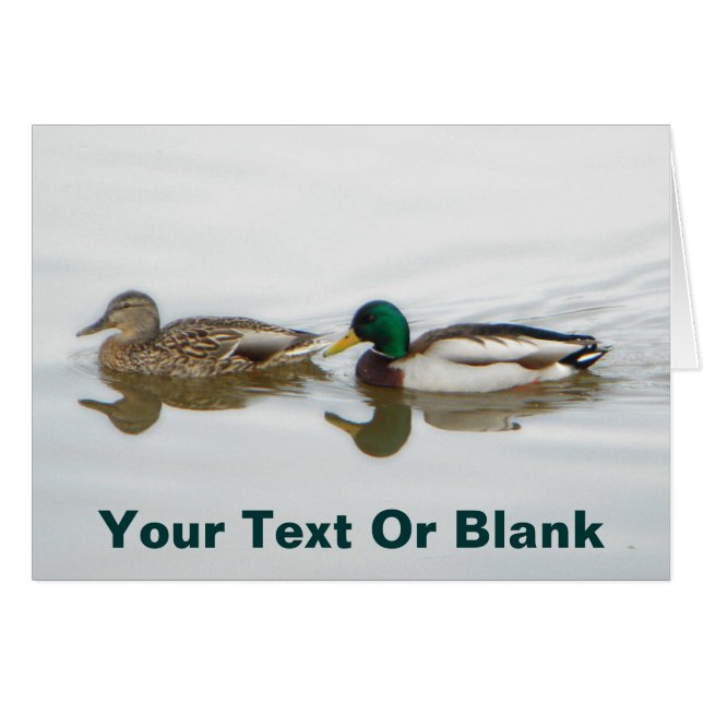 Mallards (Vorderseite (Horizontal))