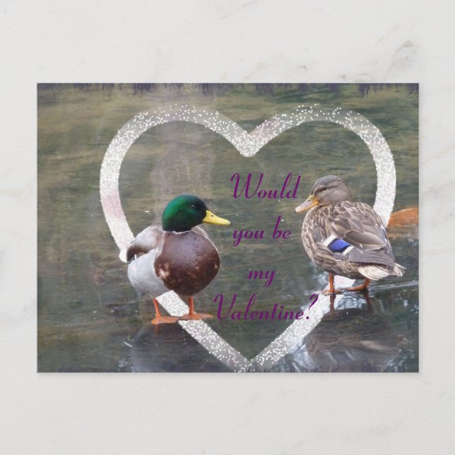 Mallards-Freundschaft Feiertagspostkarte (Vorderseite)