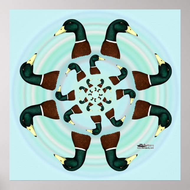 Mallards Galore! Poster (Vorne)