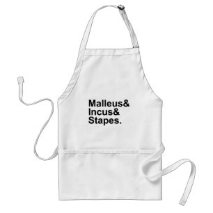 Malleus Incus Stapes Drei Knochen des Nahen Oste Schürze