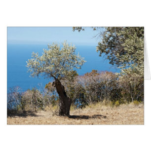 Mallorca