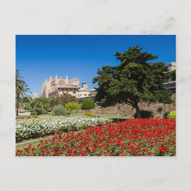 Mallorca - Kathedrale von Palma Postcard Postkarte (Vorderseite)