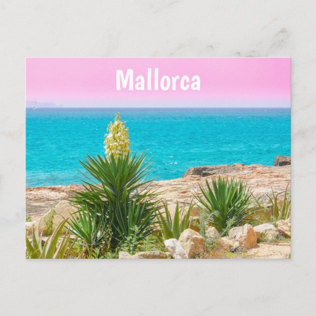 Mallorca Küste Postkarte (Vorderseite)