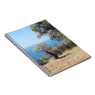 Mallorca-Notebook Notizblock