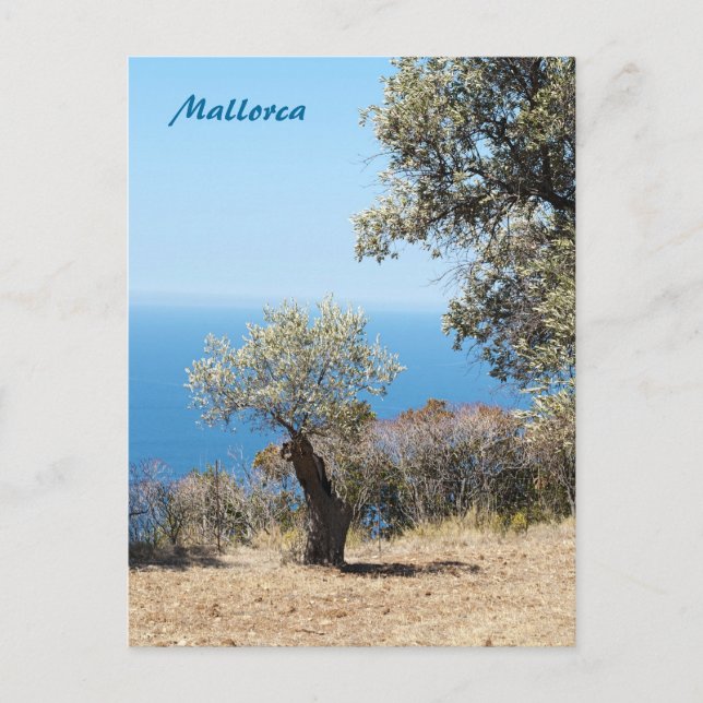 Mallorca-Postkarte Postkarte (Vorderseite)