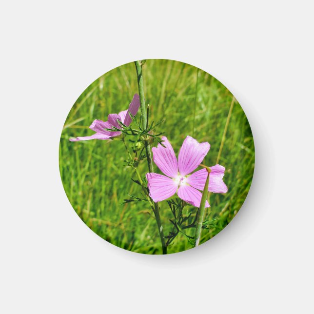 Mallow Magnet (Vorne)