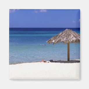Malmok Beach, Aruba, Niederländische Antillen Magnet
