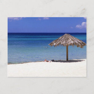 Malmok Beach, Aruba, Niederländische Antillen Postkarte