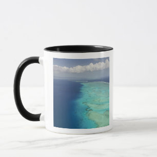Malolo-Barriereriff vor Malolo Island, Fidschi Tasse