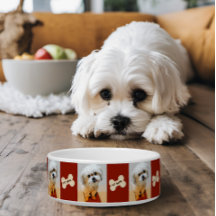 Malshi Dog Bowl mit Bone Maroon