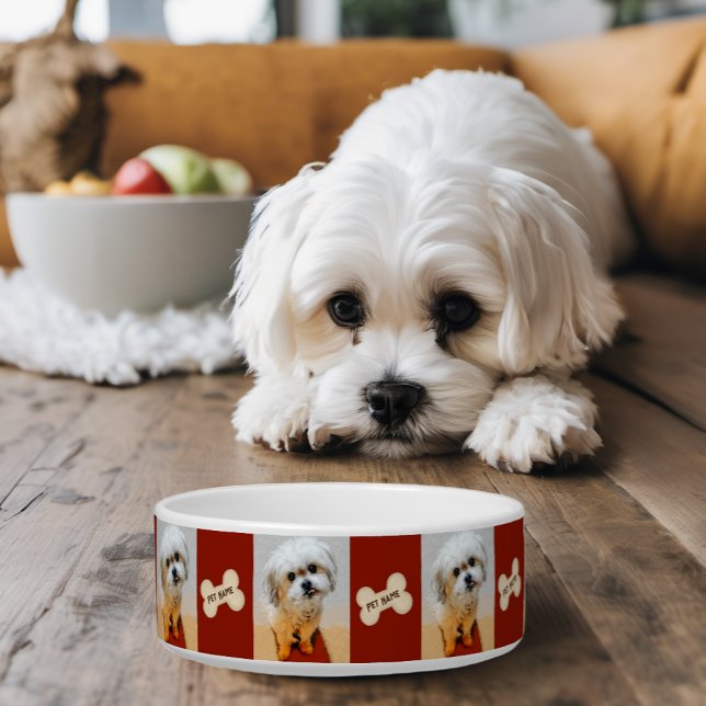 Malshi Dog Bowl mit Bone Maroon Napf (Von Creator hochgeladen)