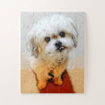 Malshi Dog Jigsaw Puzzle Oversized
