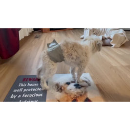 Malshi Dog Large Doormat Fußmatte