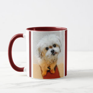Malshi Dog Maroon Personalized Mug Tasse