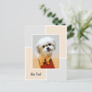 Malshi Dog Miss You Postcard Postkarte