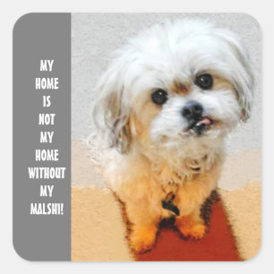 Malshi Dog Quadratischer Aufkleber